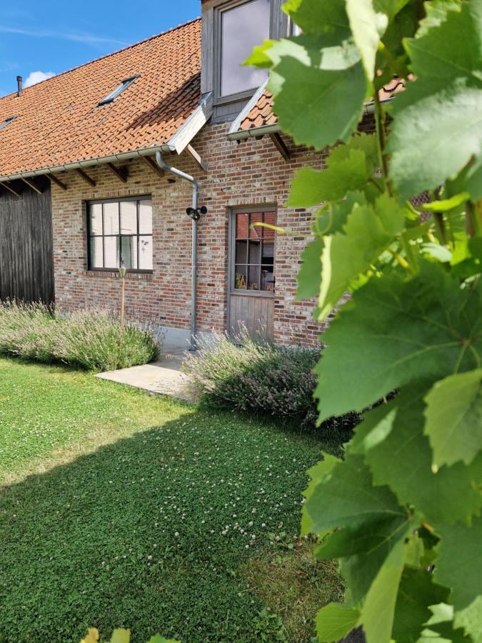 Вилла Muntershof Velzeke-Ruddershove Экстерьер фото